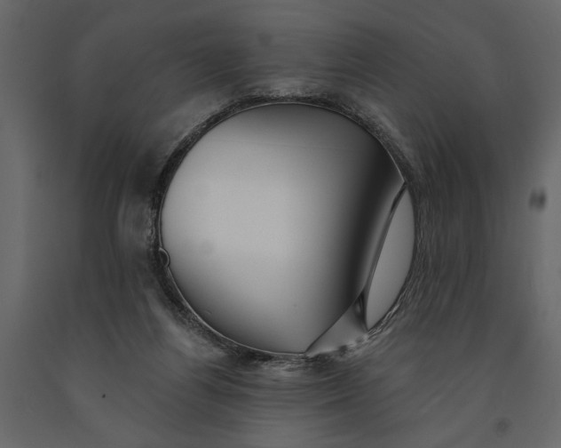 X0000091070164200708271223