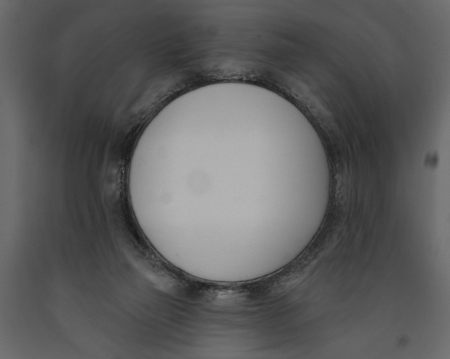 X0000091070165200708271223