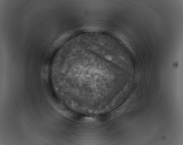 X0000091070167200708271223
