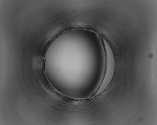 X0000091070168200708271223