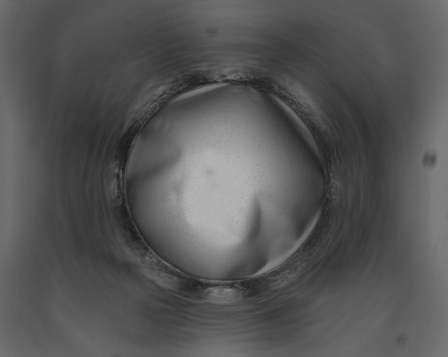 X0000091070169200708271223