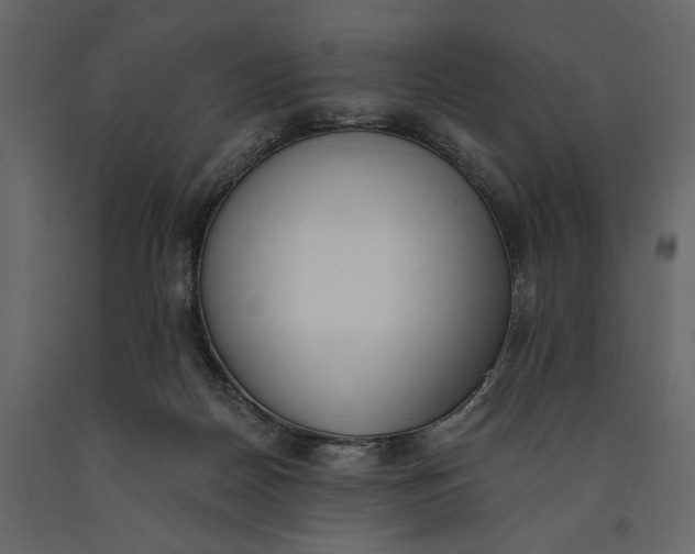 X0000091070170200708271223