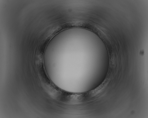 X0000091070172200708271223