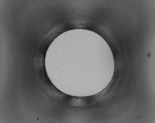 X0000091070174200708271223