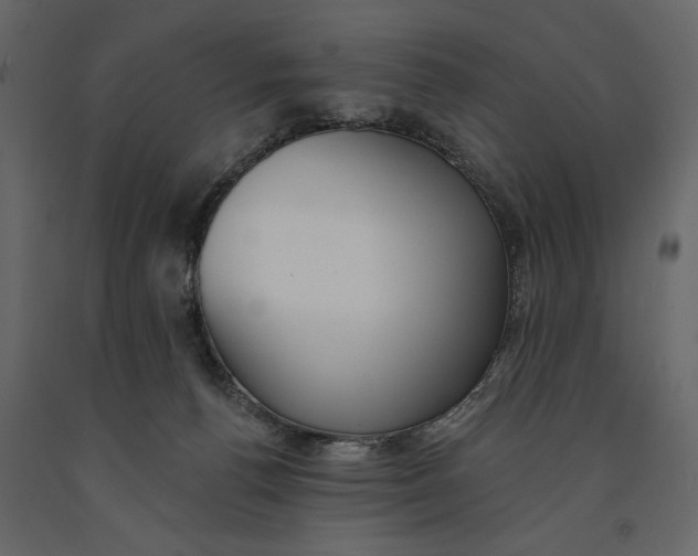X0000091070176200708271223