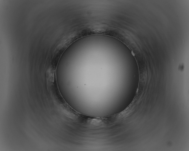 X0000091070180200708271223