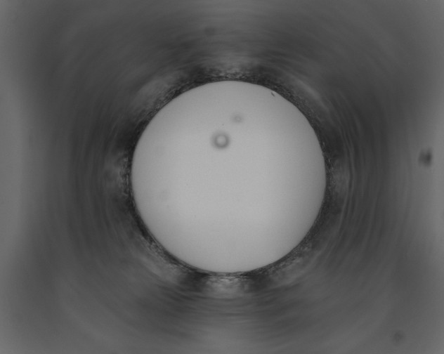 X0000091070181200708271223