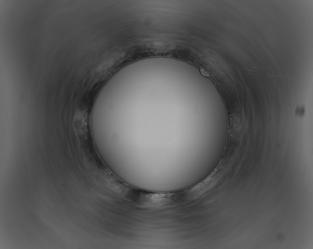 X0000091070184200708271223