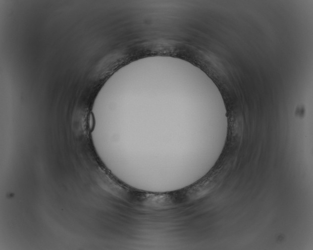 X0000091070185200708271223