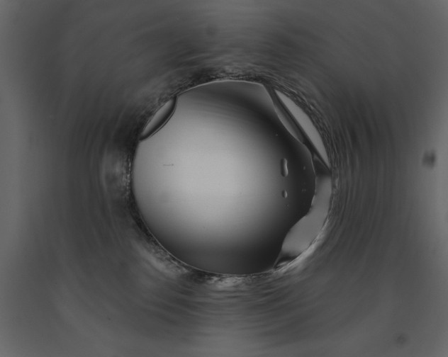 X0000091070186200708271223