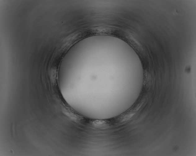 X0000091070189200708271223