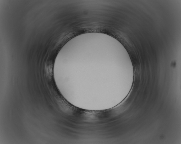 X0000091070190200708271223
