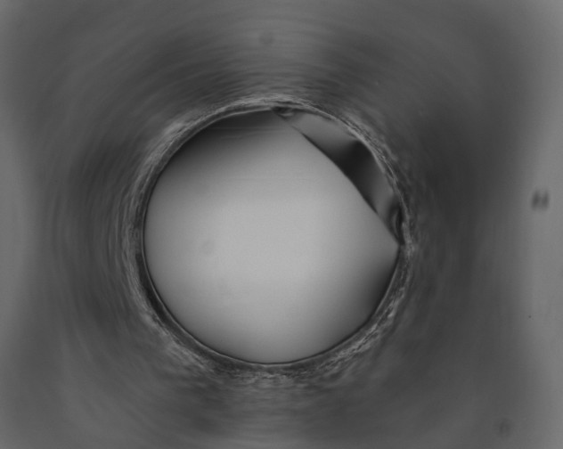 X0000091070193200708271223
