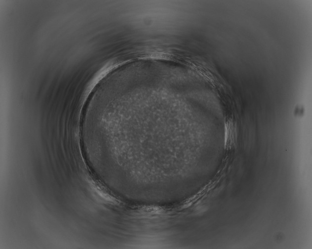 X0000091070195200708271223