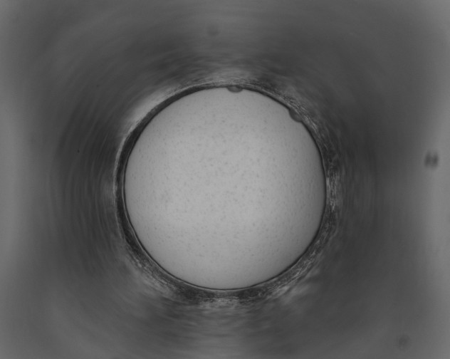X0000091070196200708271223