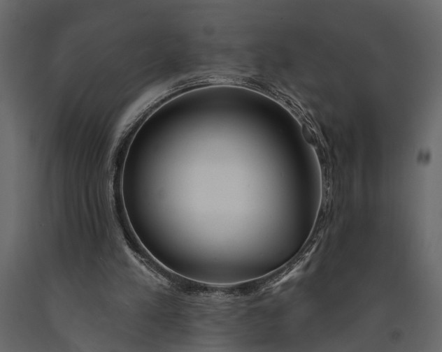 X0000091070197200708271223