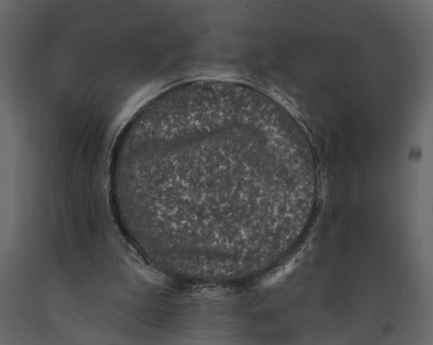 X0000091070199200708271223
