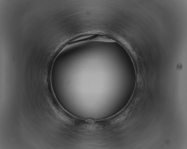 X0000091070201200708271223