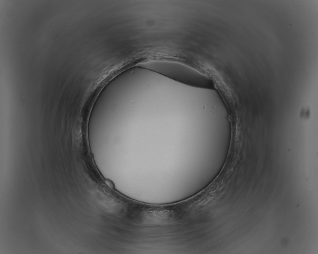 X0000091070202200708271223