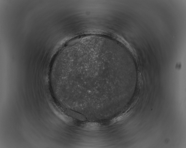 X0000091070203200708271223