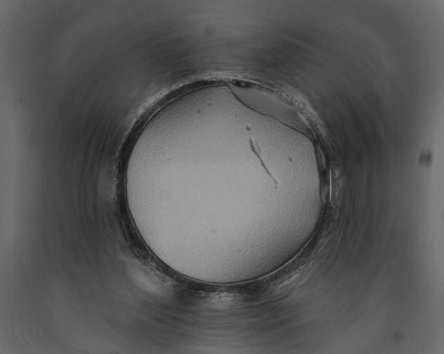 X0000091070204200708271223