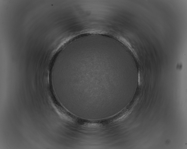 X0000091070205200708271223