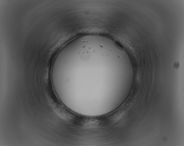 X0000091070206200708271222