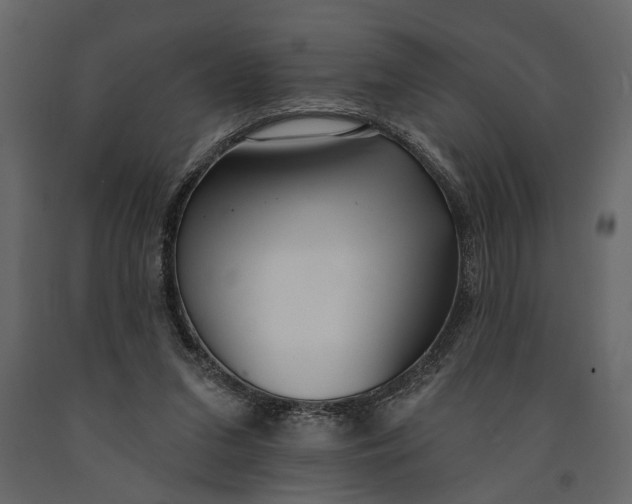 X0000091070207200708271222