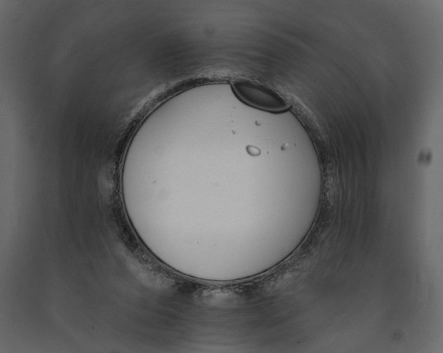 X0000091070208200708271222