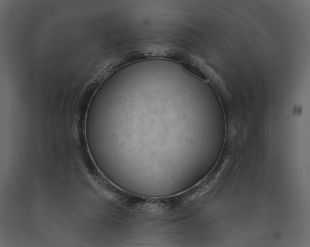 X0000091070209200708271222