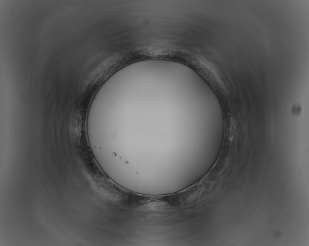 X0000091070210200708271222