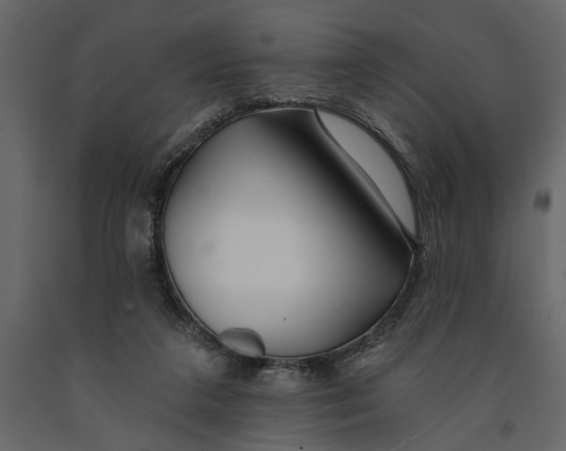 X0000091070211200708271222