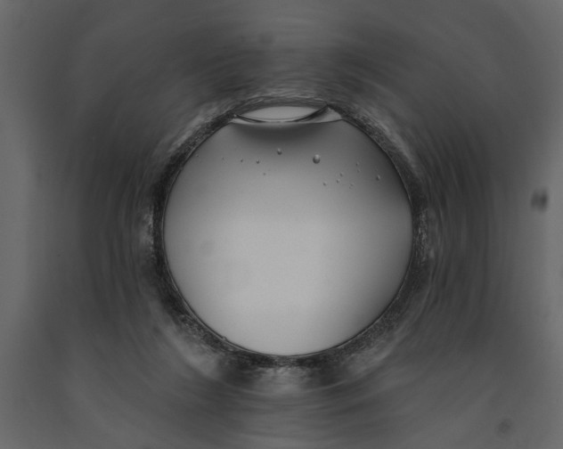 X0000091070212200708271222