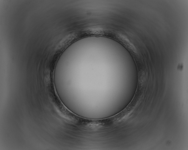 X0000091070213200708271222