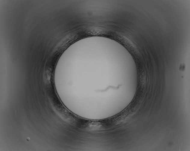 X0000091070214200708271222