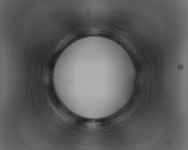 X0000091070216200708271222