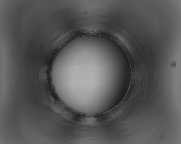 X0000091070217200708271222
