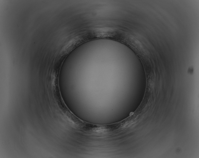 X0000091070219200708271222
