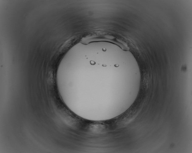 X0000091070220200708271222