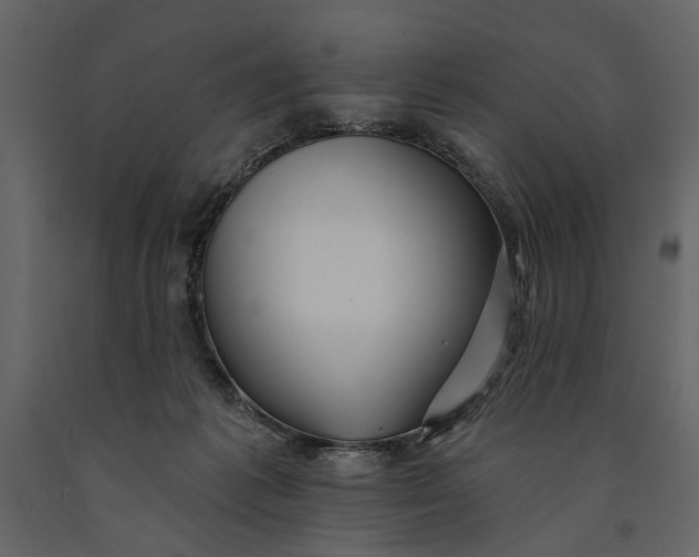 X0000091070221200708271222