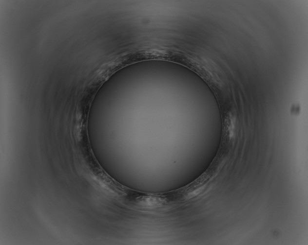X0000091070223200708271222