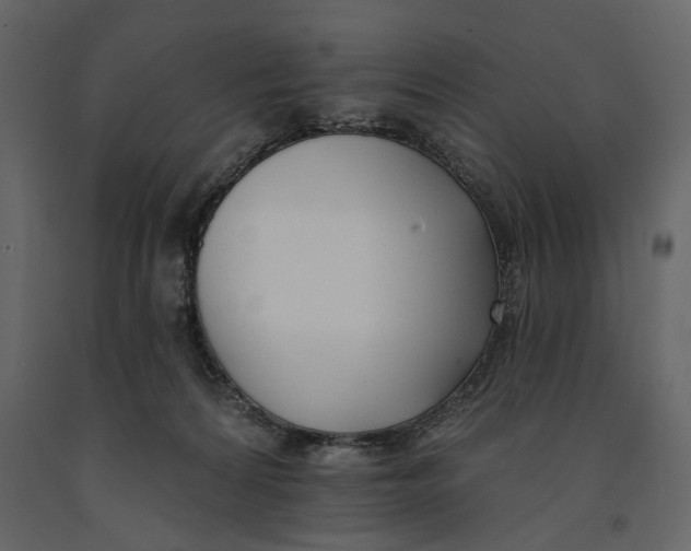 X0000091070224200708271222