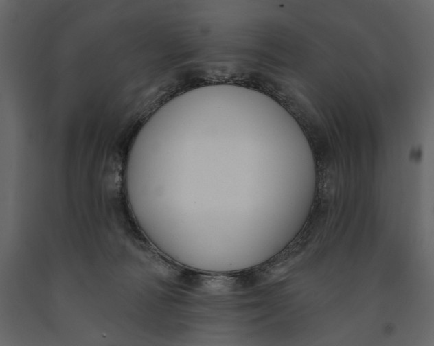 X0000091070226200708271222