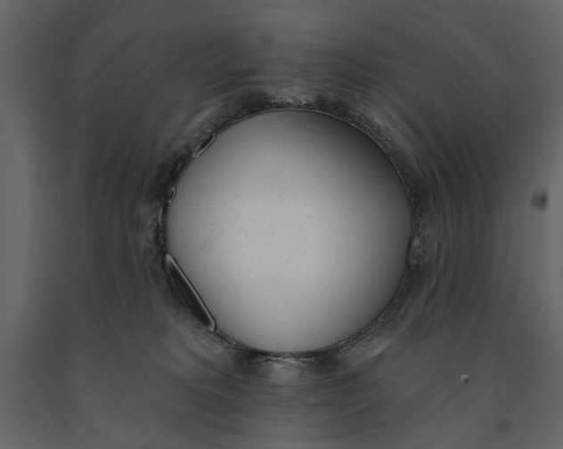 X0000091070229200708271222