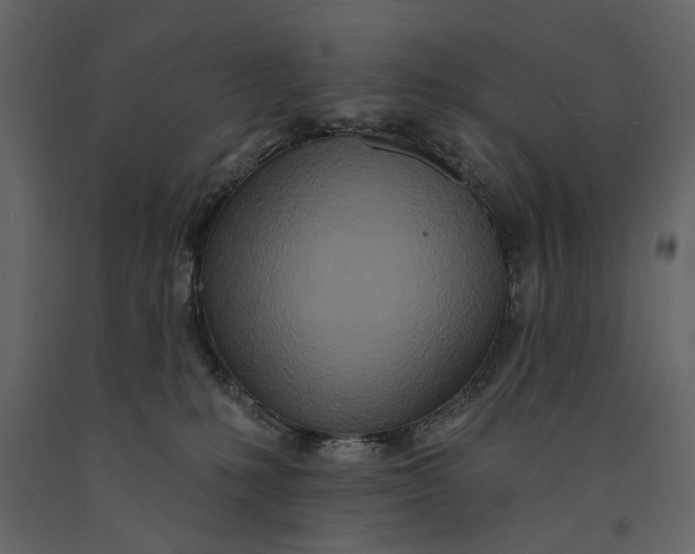 X0000091070231200708271222