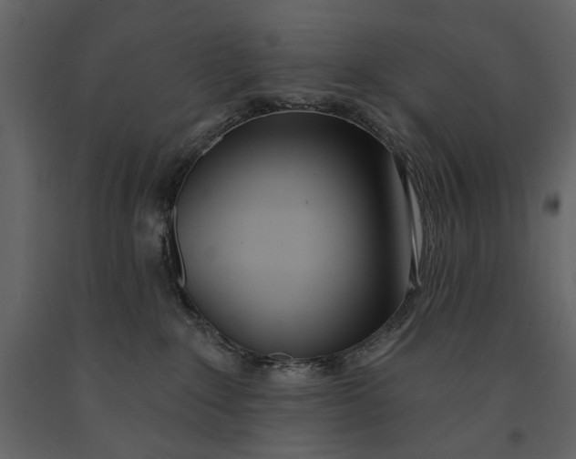 X0000091070235200708271222