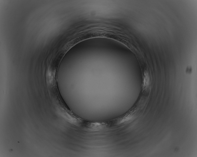 X0000091070239200708271222