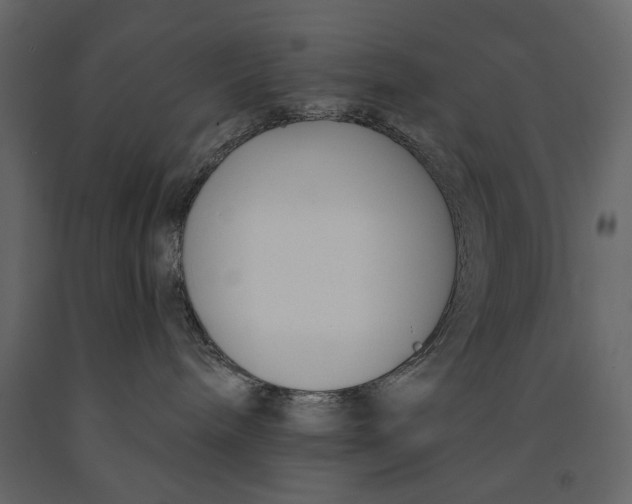 X0000091070240200708271222