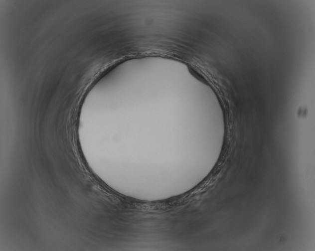 X0000091070241200708271221