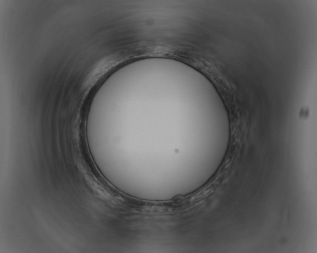 X0000091070242200708271221